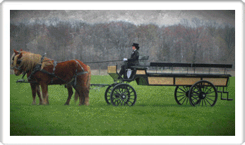 Notre Dame Wedding Carriage Rides, a limousine alternative