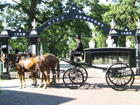 Horses and driver pulling a hearse