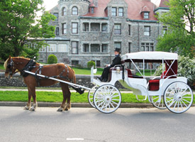 Horse drawn carriage